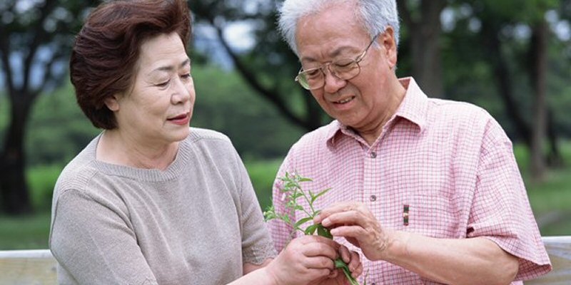 Why is there an increase in Eastern Asian unpaid carers in the UK?